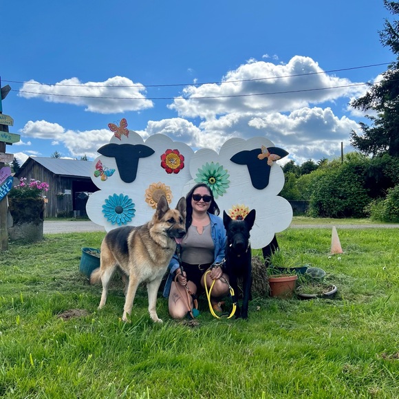 Pet friendly home - Picture 10 of 16